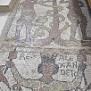 Foto: Mosaico del Pavimento - Cattedrale di San Nicola Pellegrino  (Trani) - 9