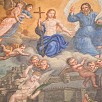 Foto: Particolare dell' Affresco  - Chiesa Madre Madonna della Consolazione (Nereto) - 19