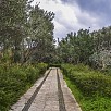 Foto: Verde Parco Archeologico - Capo Colonna  (Crotone) - 27